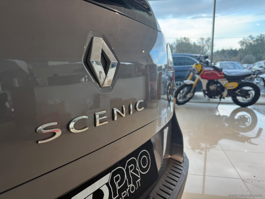 RENAULT Sc�nic