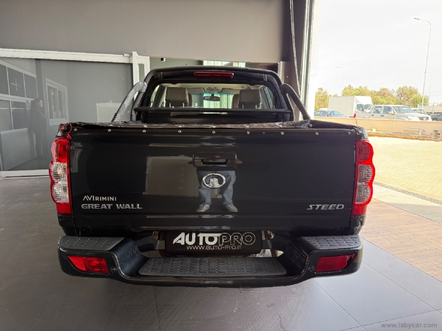 GREAT WALL Steed