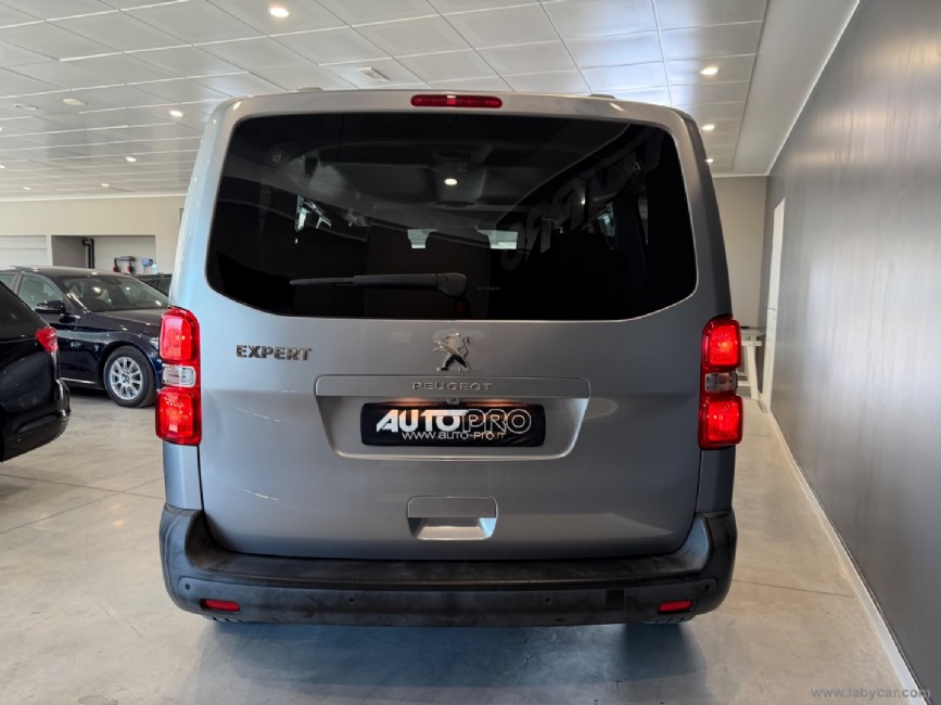 PEUGEOT Traveller